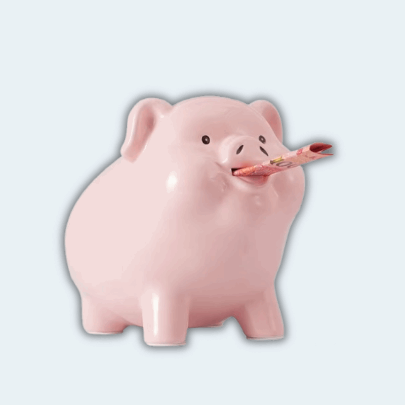 petit cochon tirelire I La tirelire Rose